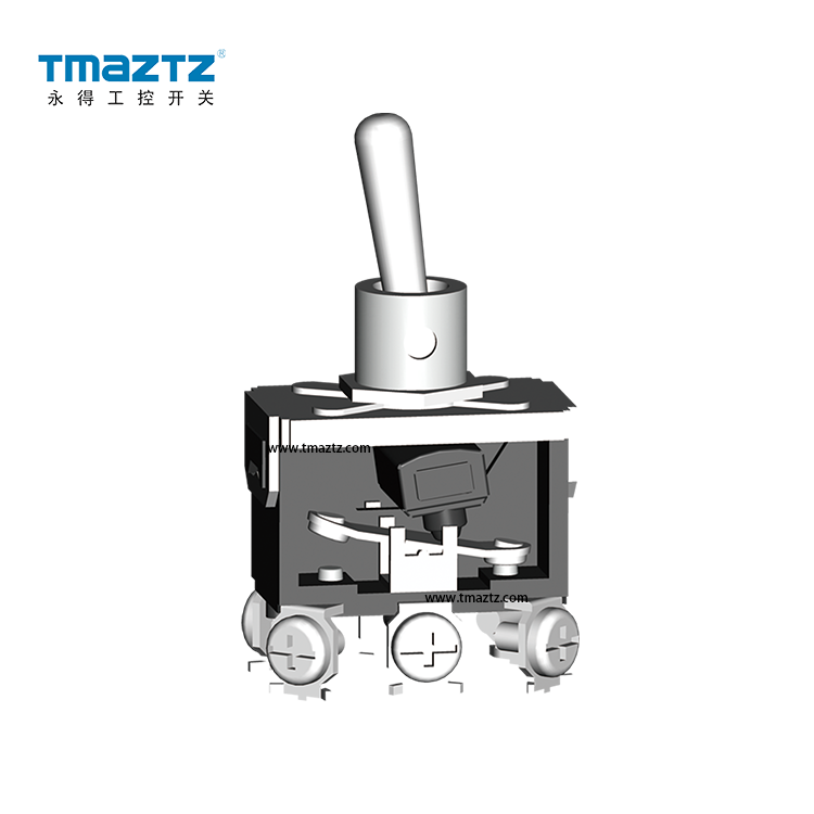 T522A On-On Toggle Switch DPDT